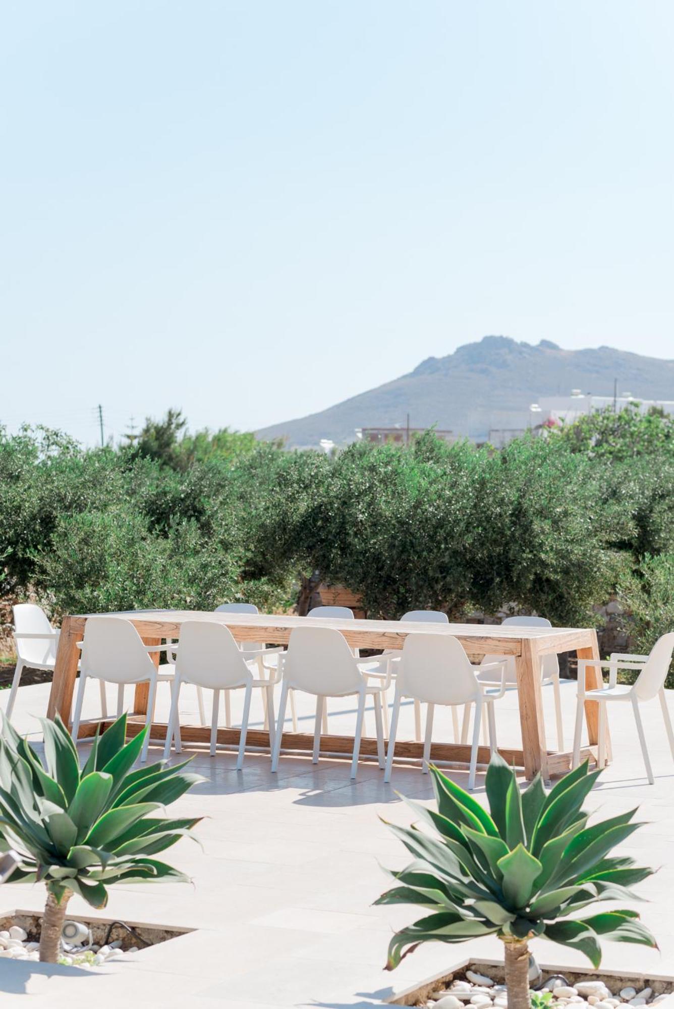 فيلا Bracket House Paros Dhragoulas المظهر الخارجي الصورة
